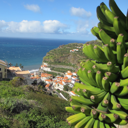 Pilatesrejse-View-banan-Madeira