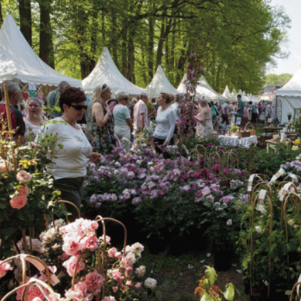 Ledreborg livsstilsdage blomster